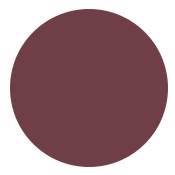 111 RENAISSANCE ROSE